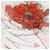 whiterain's Avatar