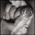 khloetweet's Avatar